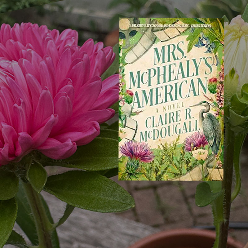 book-review-of-Mrs-McPhealys-American-by-Claire-R-McDougall-800x800-11